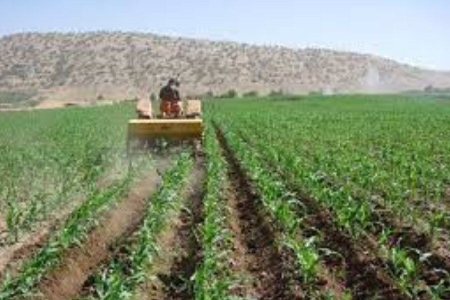 ضرورت برنامه ریزی جهت رسیدن به بازارهای حوزه خلیج فارس