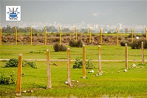 میانکاله در پیچ‌ وخم مصوبه‌ها؛ آیا پروژه پتروشیمی برای همیشه متوقف می‌شود؟