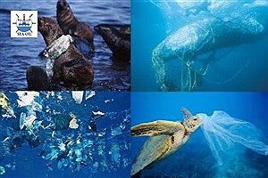 تأکید؛ سازمان بین‌المللی دریانوردی (IMO) بر حفاظت از اقیانوس‌ها