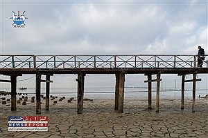 زنگ خطر برای تالاب‌ها و بنادر شمالی ایران