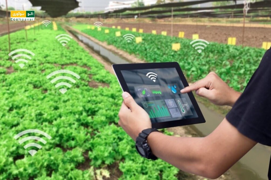 ایران و هلند همکاری‌های تازه‌ای در حوزه کشاورزی هوشمند و فناوری‌های پایدار آغاز کردند