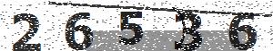 تصویر امنیتی