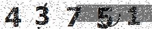 تصویر امنیتی