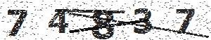 تصویر امنیتی